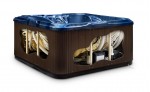 RHINE 5 PERSON HOT TUB